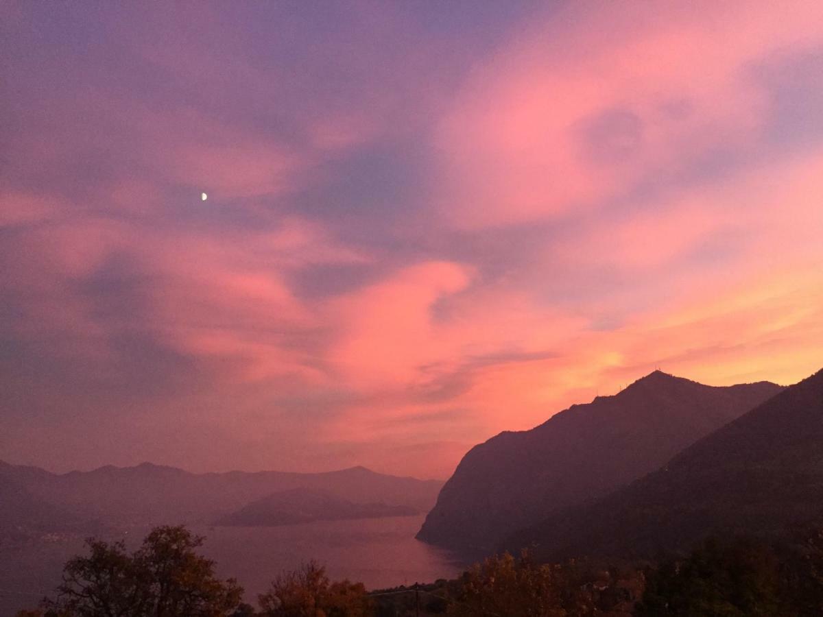 Luminoso Appartamento Vista Lago Solto Collina Exteriör bild